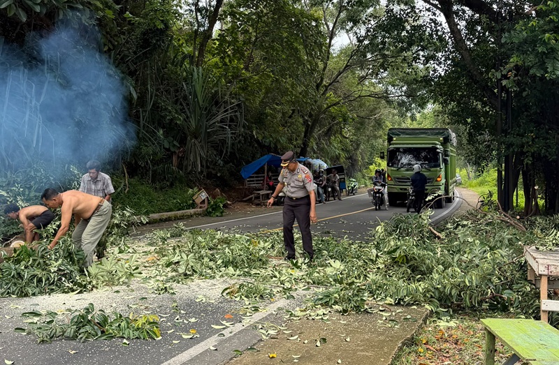 Wakapolres Pessel H.Syafrizen ,SH turun langsung membersihkan pohon yang menimpa jalan raya nasional  Painan Kambang