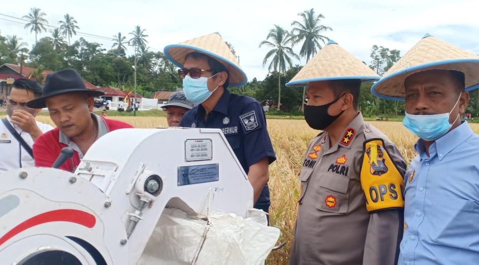 Gubernur Irwan Prayitno saat mengoperasikan mesin pemanen padi