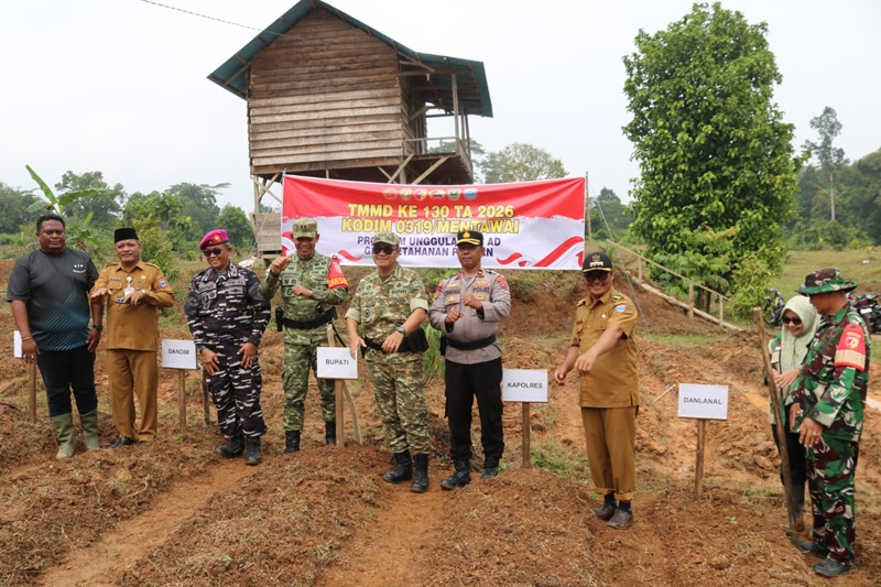 Bupati DR.Rinto Wardana Dan Bersama Dandim 0319 Mtw, Pimpinan Forkopimda Ikut Menanam Jagung di Desa Bukit Pamewa Indah, Kecamatan Sipora Utara