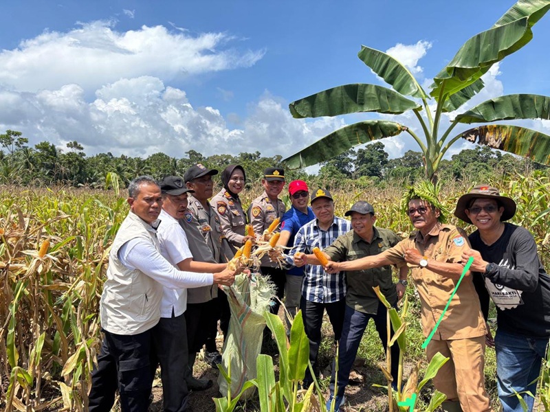 Wakil Ketua DPRD Kep.Mentawai Bruno (kemeja hijau) di sebelah sekwan Sukirman foto bersama setelah panen raya jagung