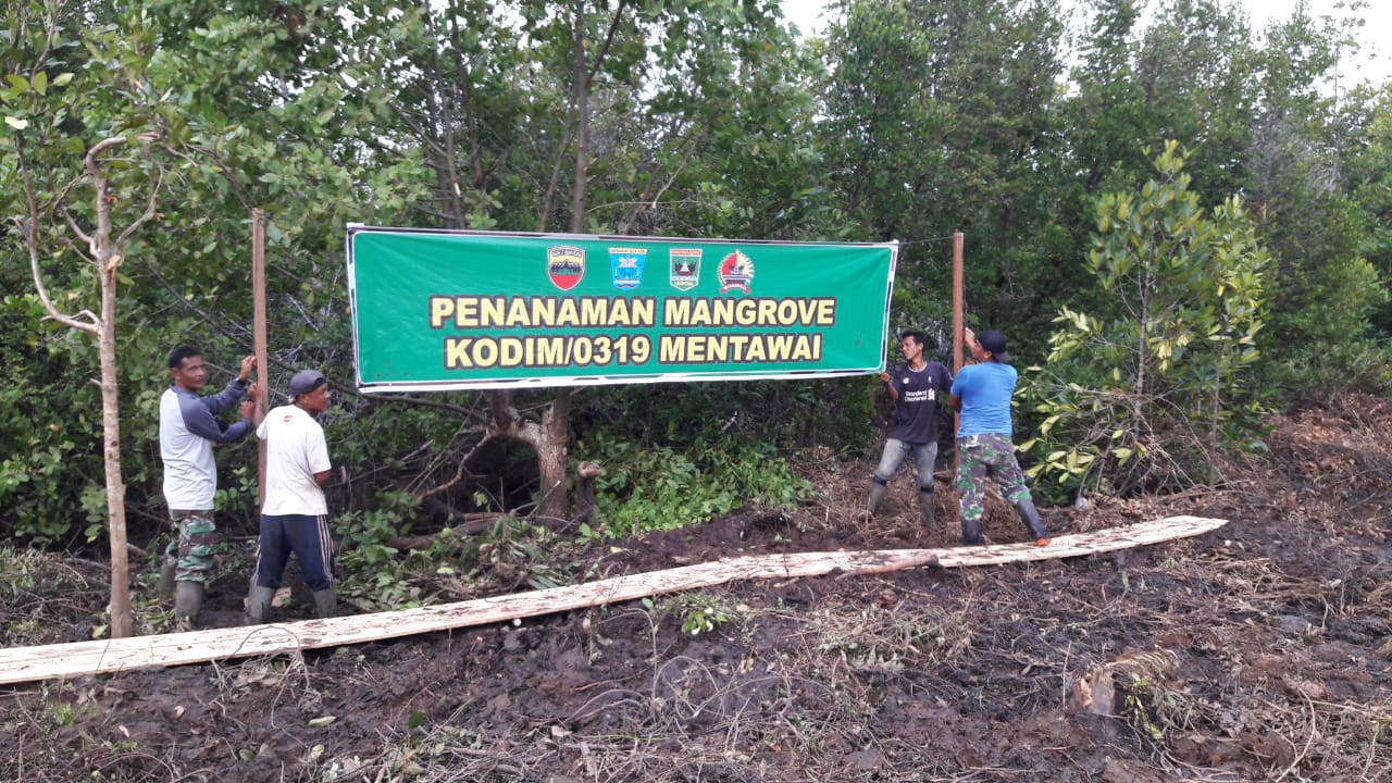 Lahan persemaian mangrove dalam rangka TMMD ke 104 di Mentawai