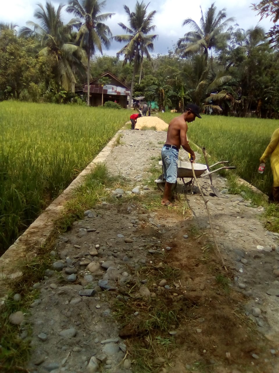 Realisasi Kegiatan nagari memanfaatkan dana desa di Dharmaaraya tinggi
