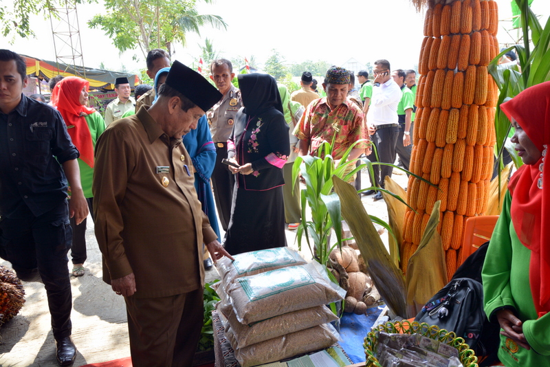Usai pembukaan Bupati Sijunjung, meninjau pameran hasil pertanian.