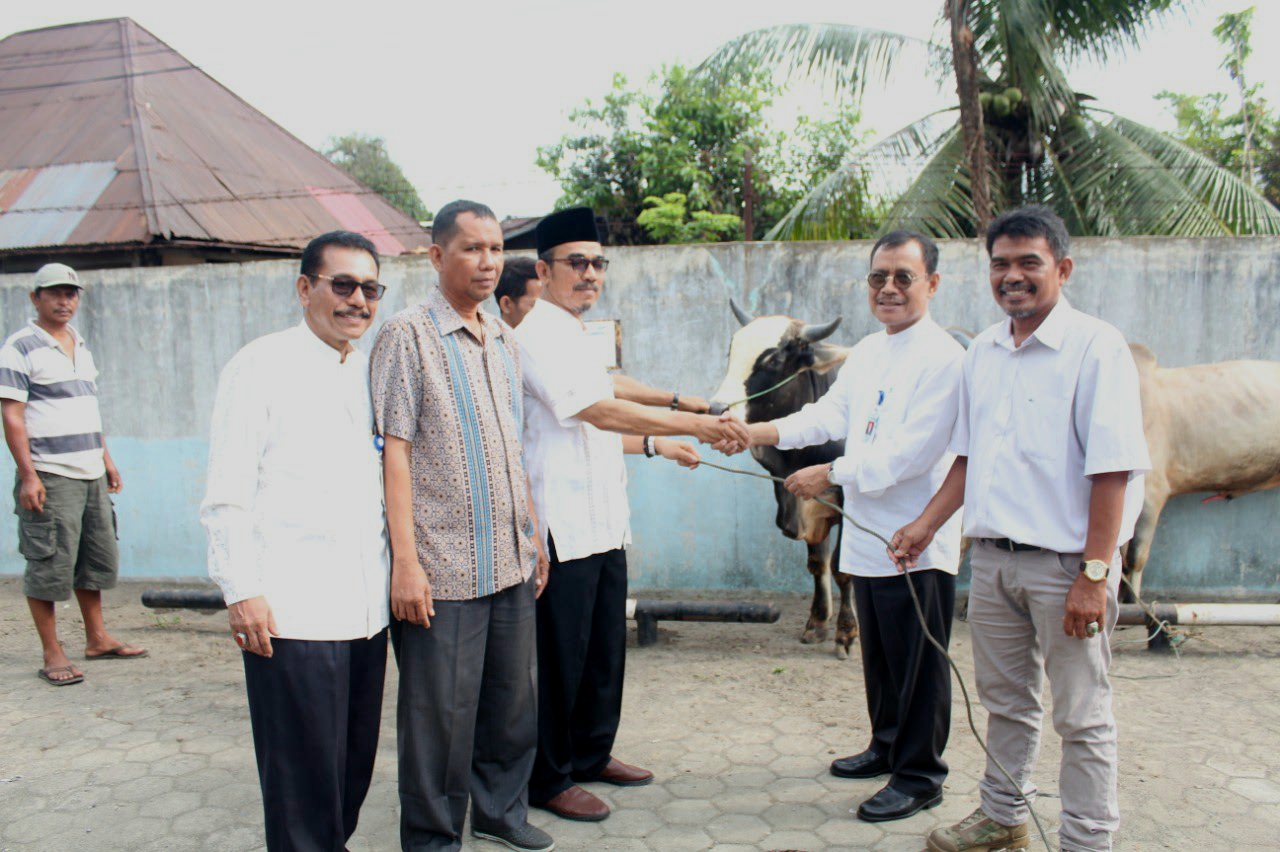 Dirut Bank Nagari, Dedi Ihsan, disaksikan Direktur Keuangan Muhammad Irsyad (Jack) menyerahkan hewan qurban, Jumat (9/8/2019).
