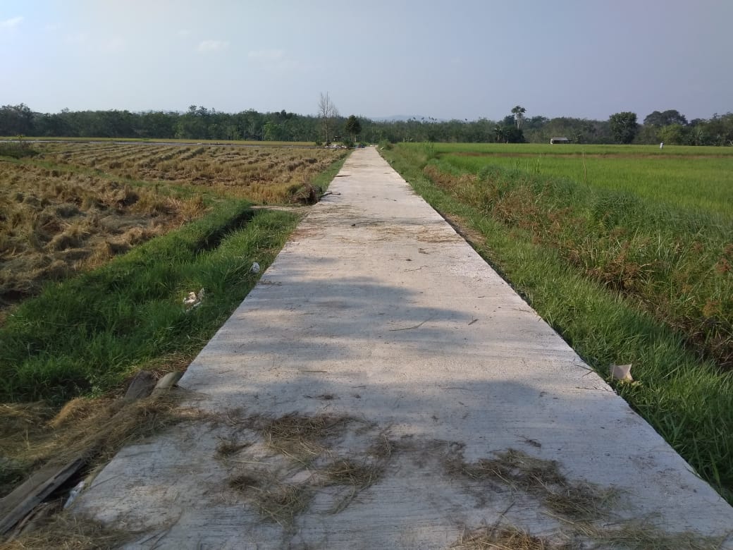 Jalan usaha tani dibangun dengan Dana PISEW