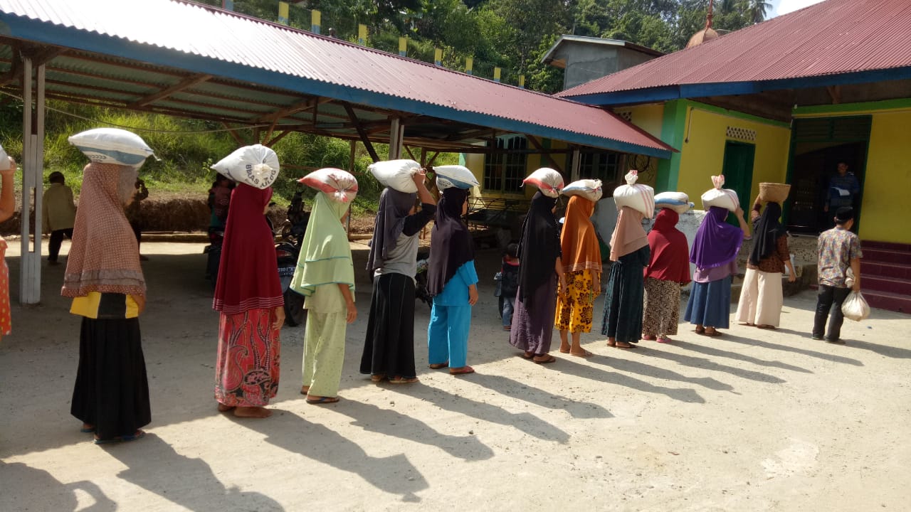Arak arakan mengantarkan padi hasil panen ke masjid sebagai bentuk sedekah untuk pembangunan masjid di Nagari Palaluar