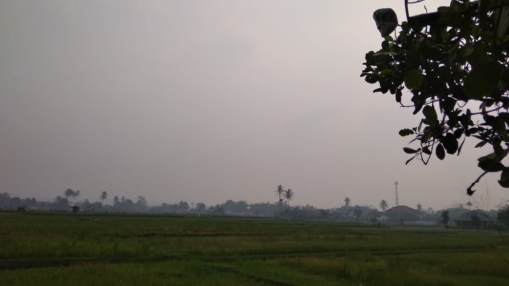Kabut asap masih menutupi langit Sumbar