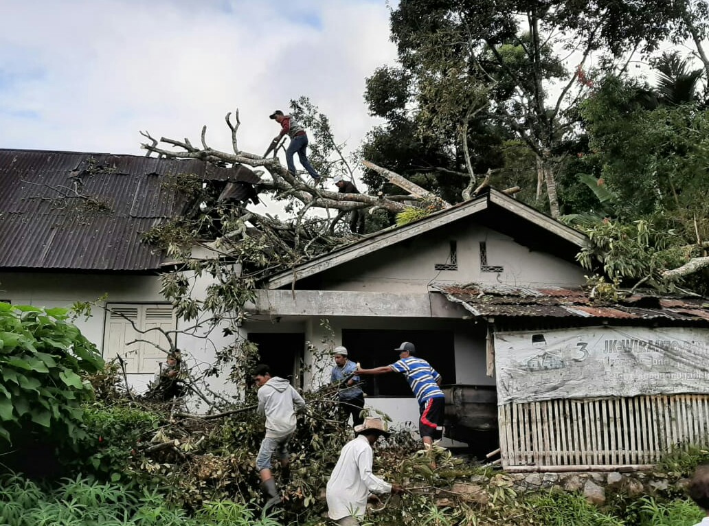 Rumah warga di nagari Salo ditimpa pohon tumbang