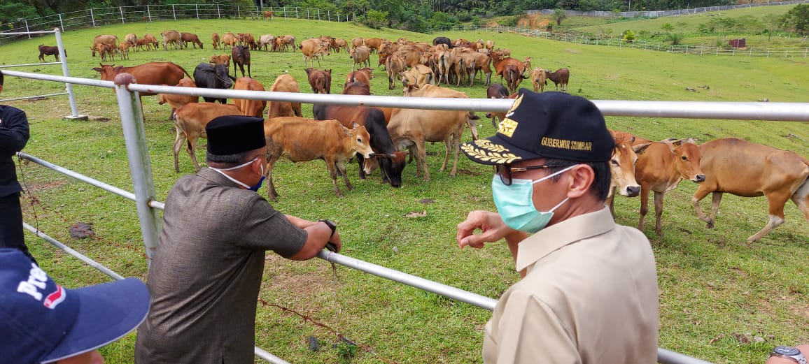 Guernur Sumbar dan rombongan meninjau UPTD Air Runding, Pasaman Barat, Selasa (16/6/2020).