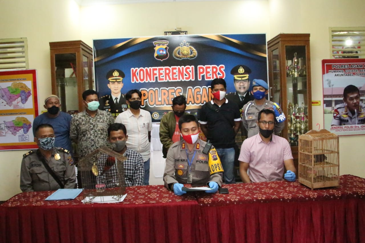 Konferensi pers Polres Agam di Aula Wibisono terkait penangkapan pelaku jual beli satwa dilindungi