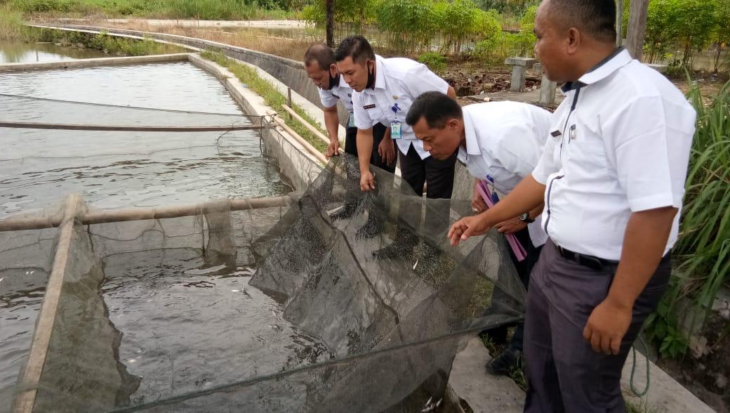Kadis Perikanan Pasaman, Richie bersama tim BRPI saat lepaskan Ikan Mas