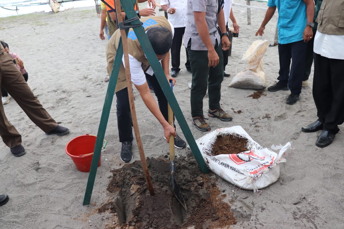 Kepala Badan Nasional Penanggulangan Bencana BNPB, Letjen TNI Doni Monardo, berkunjung ke Pariaman dan menanam pohon Pinago untuk menahan abrasi pantai, Rabu (14/4/2021).