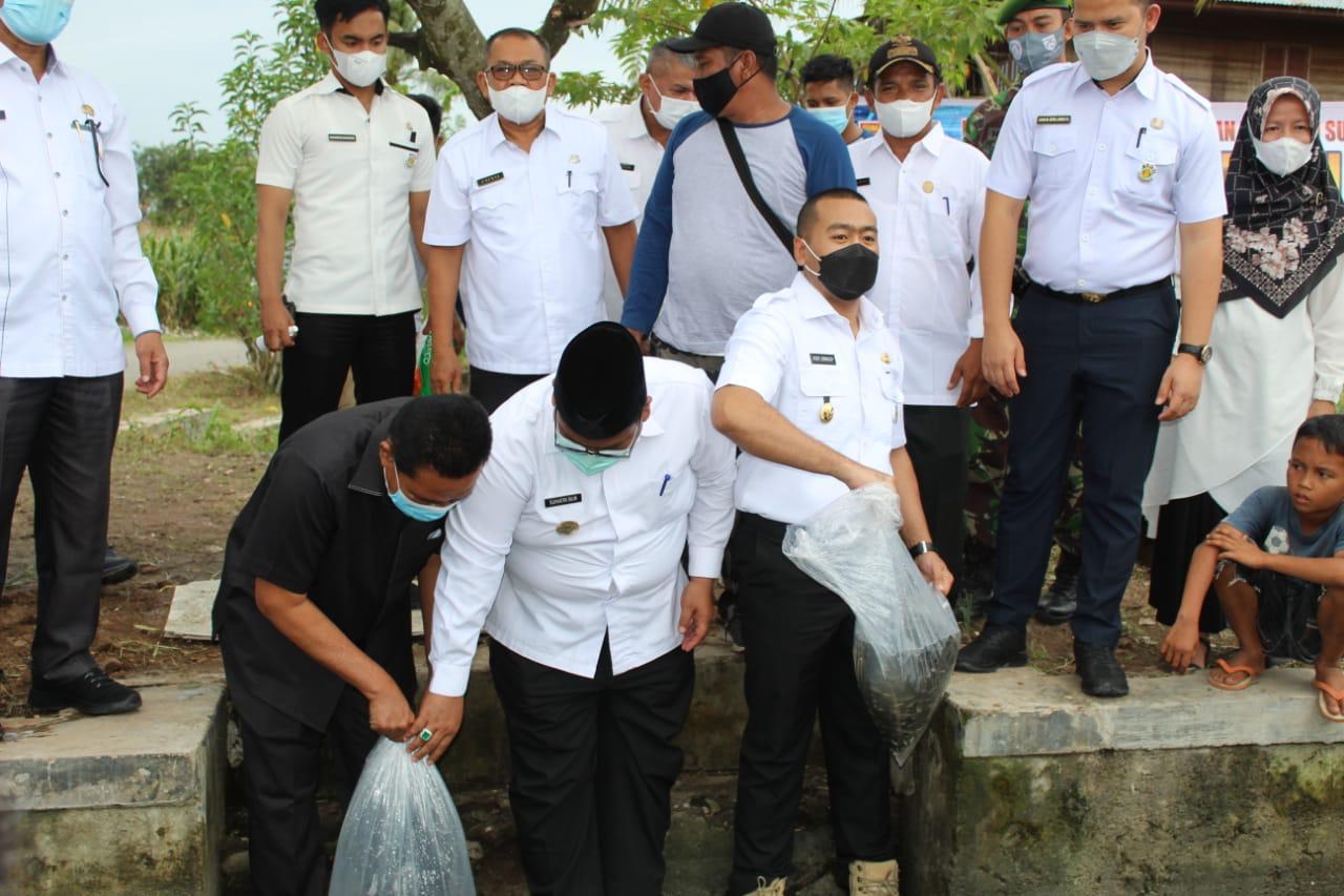 Wakil Gubernur Sumbar, Audy Joinaldy dan Bupati Padang Pariaman, Suhatri Bur, menebar benih ikan nila, puyu dan tawes, di area irigasi perairan umum ikan larangan Nagari Aie Tajun Lubuk Alung Kabupaten Padang Pariaman, Rabu (30/6/2021).