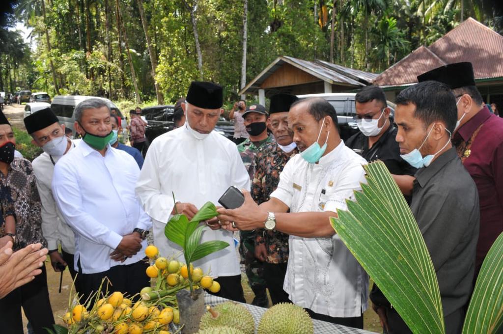 Gubernur Sumbar, Mahyeldi, mengunjungi Korong Pematang Tinggi, Nagari Sikucur Utara, Kecamatan V Koto Kp. Dalam Padang Pariaman dalam rangka "Pencanangan Program Sejuta Bibit Kepala dan bibit Pinang Wangi", Jumat (16/7/2021).