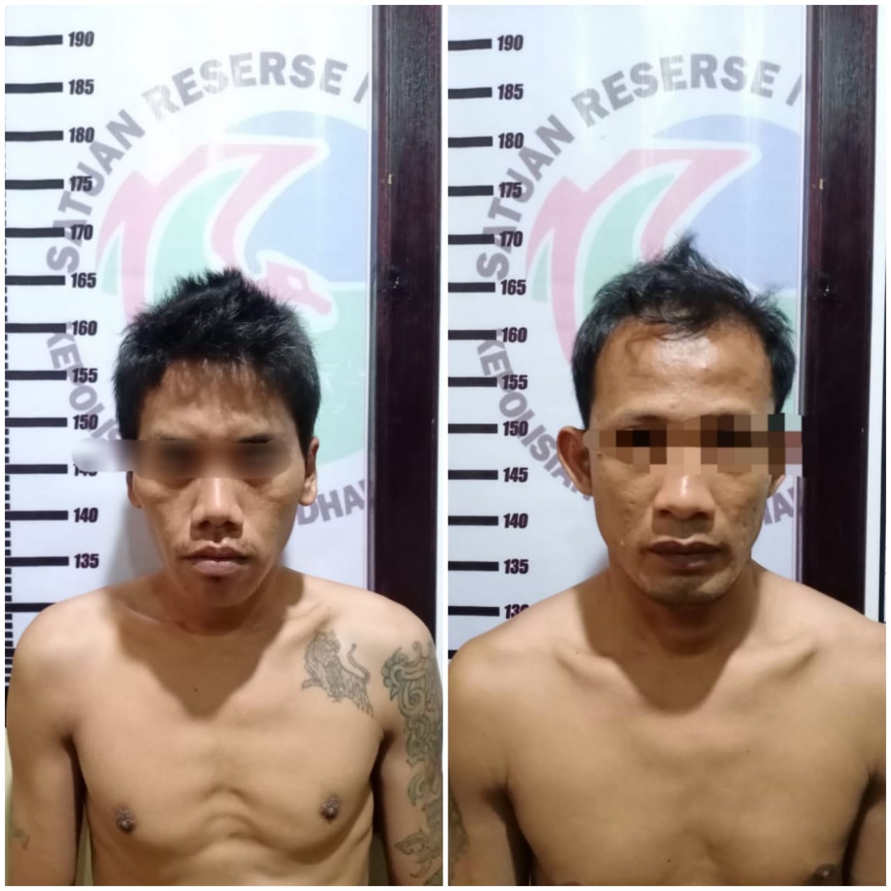 Dua orang terduga pengedar dan pemakai narkoba jenis shabu di Dharmasraya, diamankan Polisi, Jumat (16/7/2021).