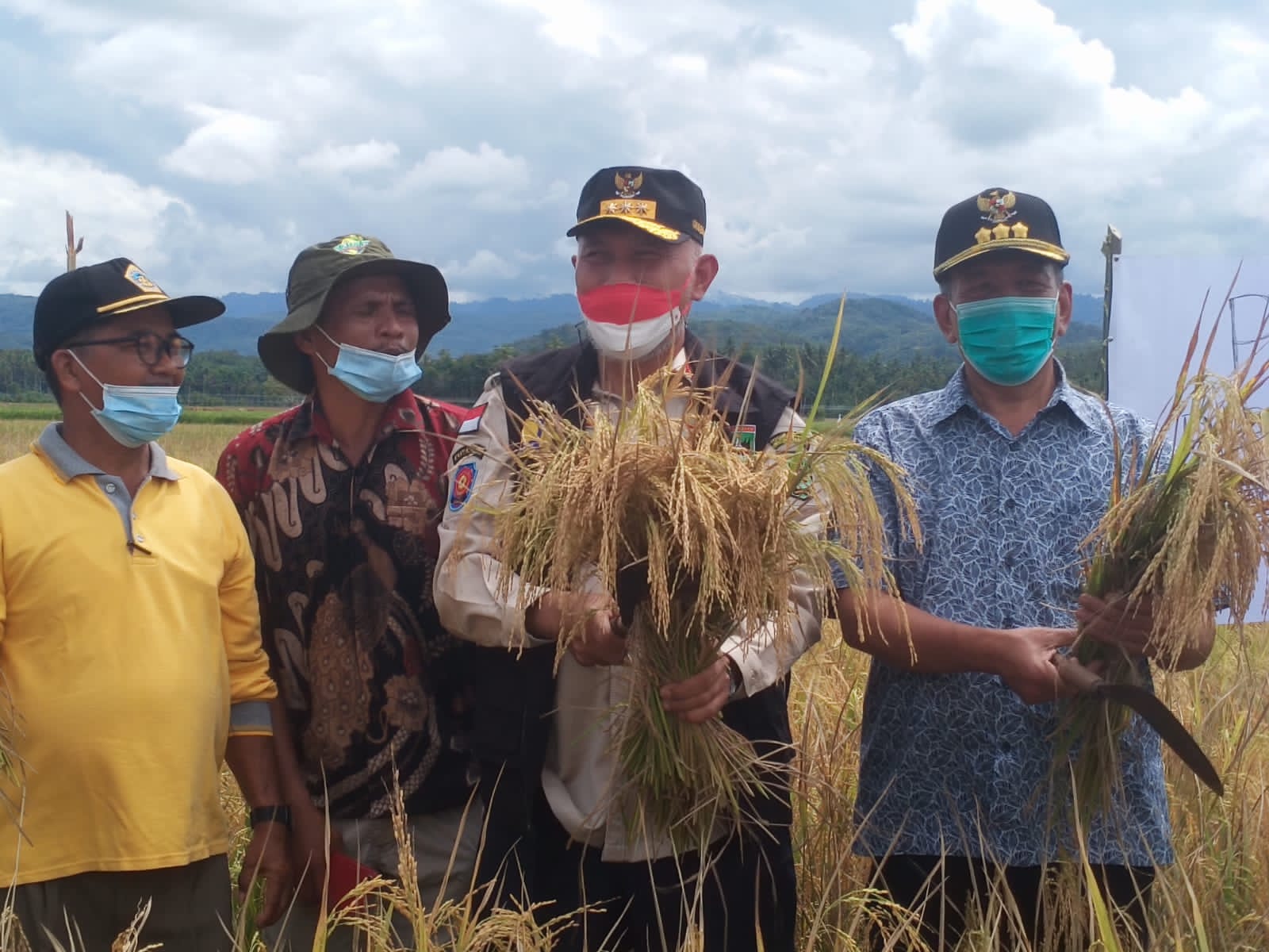 Gubernur Sumbar, Mahyeldi, Panen Raya yang diiniasi oleh kelompok tani Bunga Padi di areal Sawah Nagari Padang XI Punggasan, Kecamatan Sari Linggo Baganti, Kabupaten Pesisir Selatan, Minggu (15/8/2021).