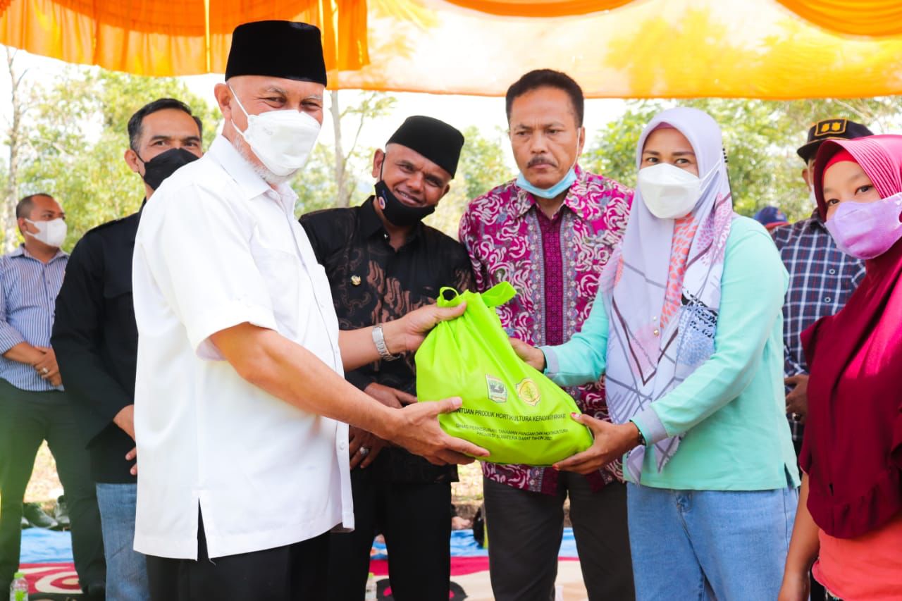 Bantuan hortikultura secara simbolis diserahkan Gubernur Sumbar Mahyeldi kepada 250 orang warga Nagari Anau Kadok, Sabtu(25/9/2021).
