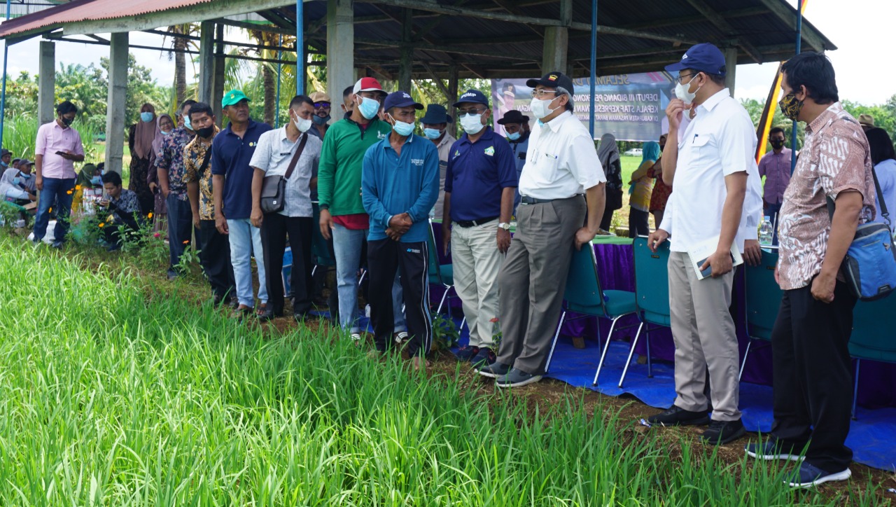 Pertemuan Pemerintah Kabupaten Pasaman Barat dengan Deputi III Bidang Perekonomian Kantor Staf Presiden di Nagari Persiapan Bunuik, Kecamatan Kinali di daerah itu, Kamis (21/10/2021).