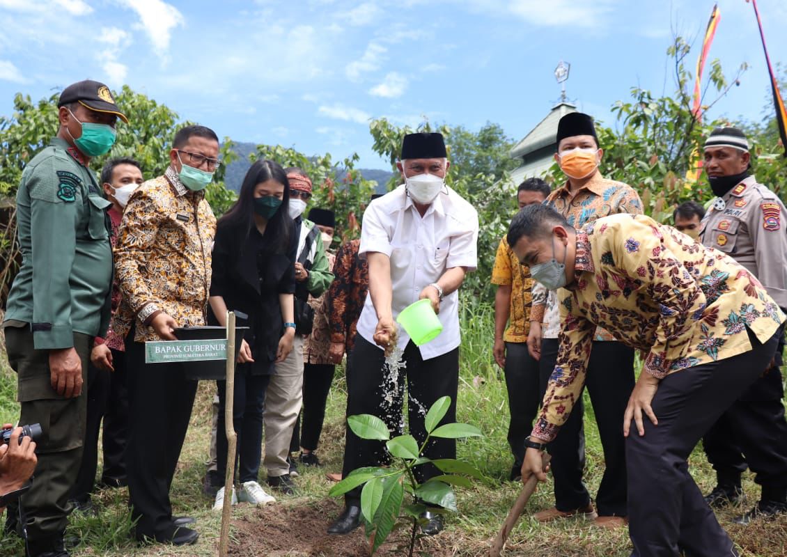 Gubernur Sumbar, menanam bibit tanaman di kawasan basis PDRI, Sijunjung, Jumat (29/10/2021).