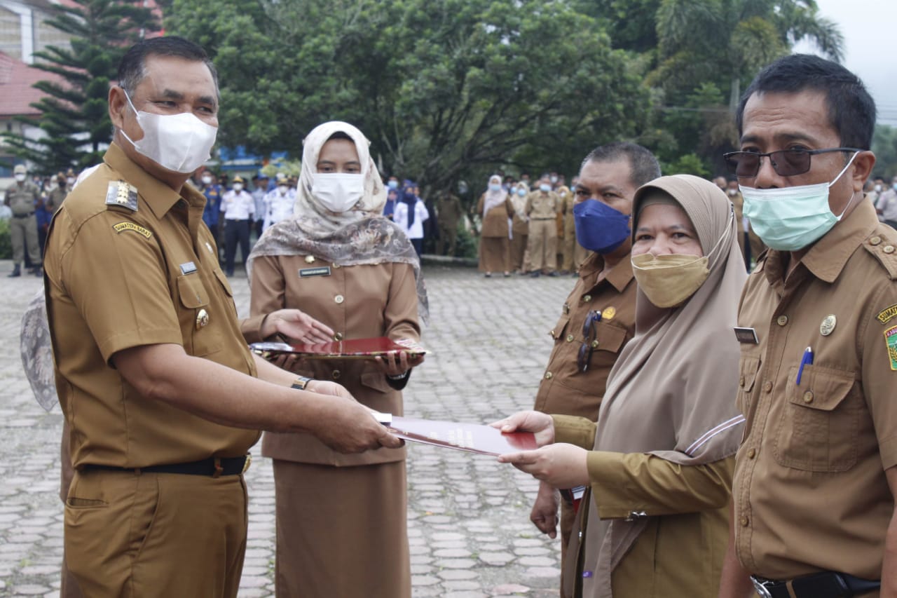Penyerahan penghargaan oleh bupati Solok