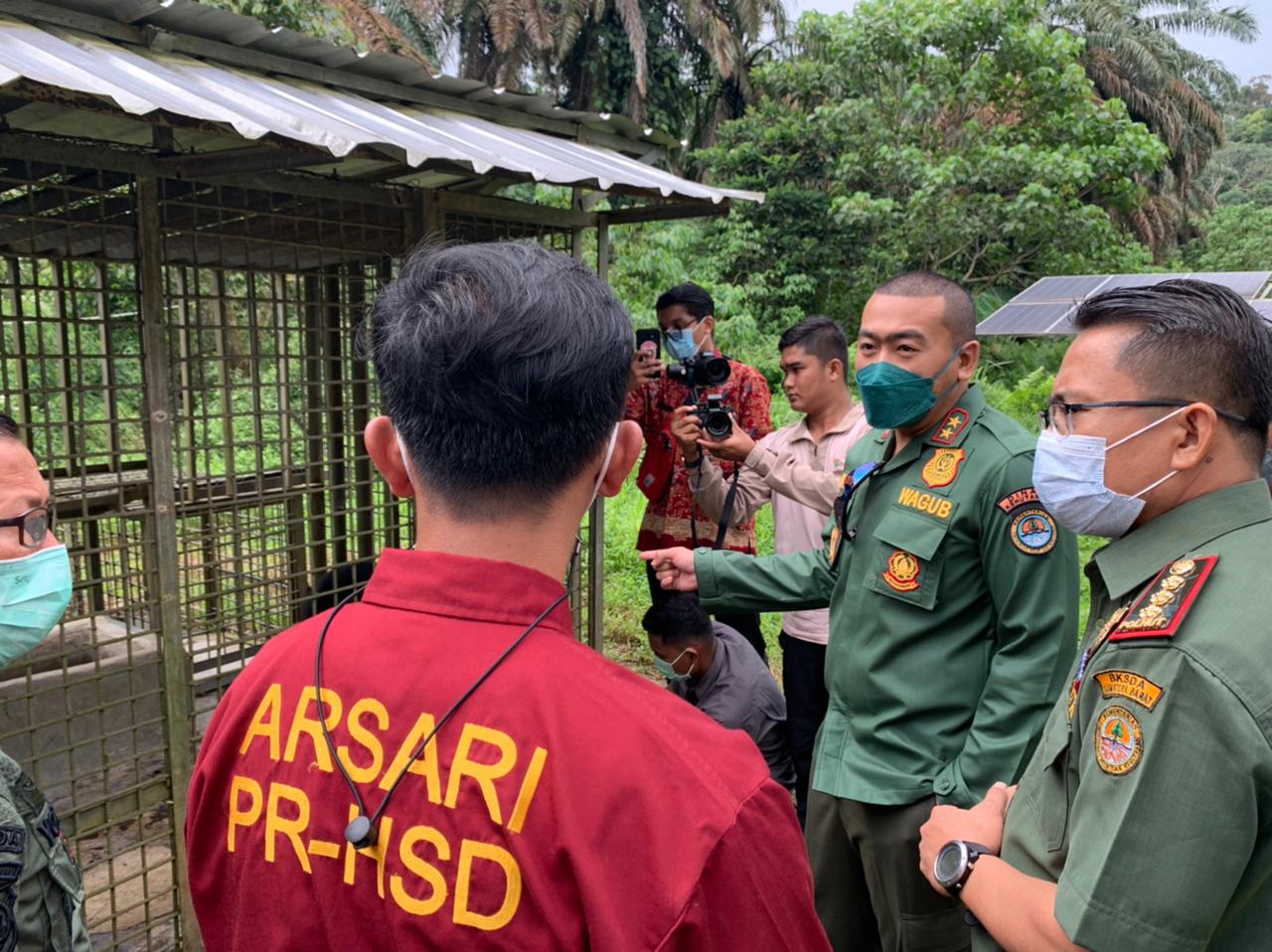 Wakil Gubernur Sumbar, Audy Joinaldy, meninjau PRHSD di kawasan TKA, Dharmasraya, Rabu (12/1/22).