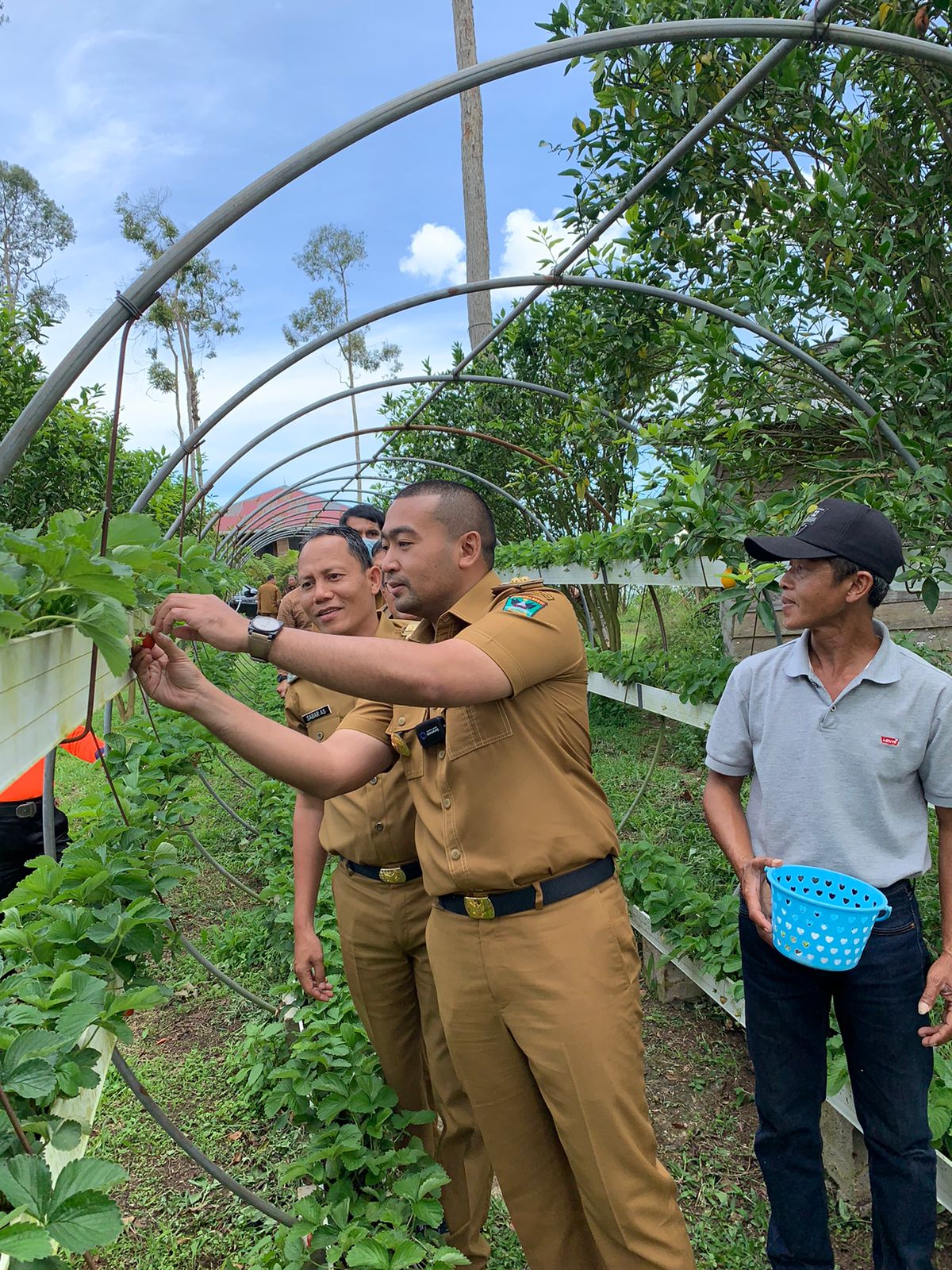 Wakil Gubernur Sumbar, Andy Joinaldy, menikmati taman bunga puncak Tonang, Pasaman, Selasa (15/2/2022).