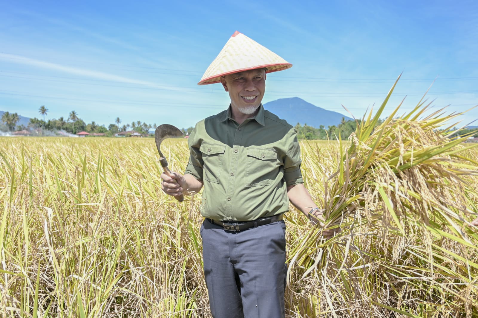 Gubernur Mahyeldi saat menghadiri panen raya padi organik, yang digelar oleh Kelompok Tani Amor di Nagari Koto Tangah Kecamatan Tilatang Kamang, Agam, Jumat (16/06/2023). Foto Adpsb.