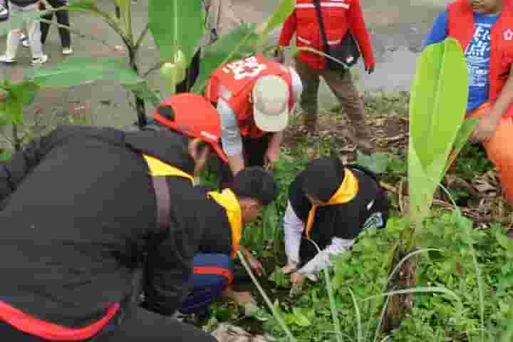 PMI dan PMR Padang Panjang, saat lakukan penanaman bibit pohon di Kelurahan Sigando, Ahad (10/3/2024) siang.