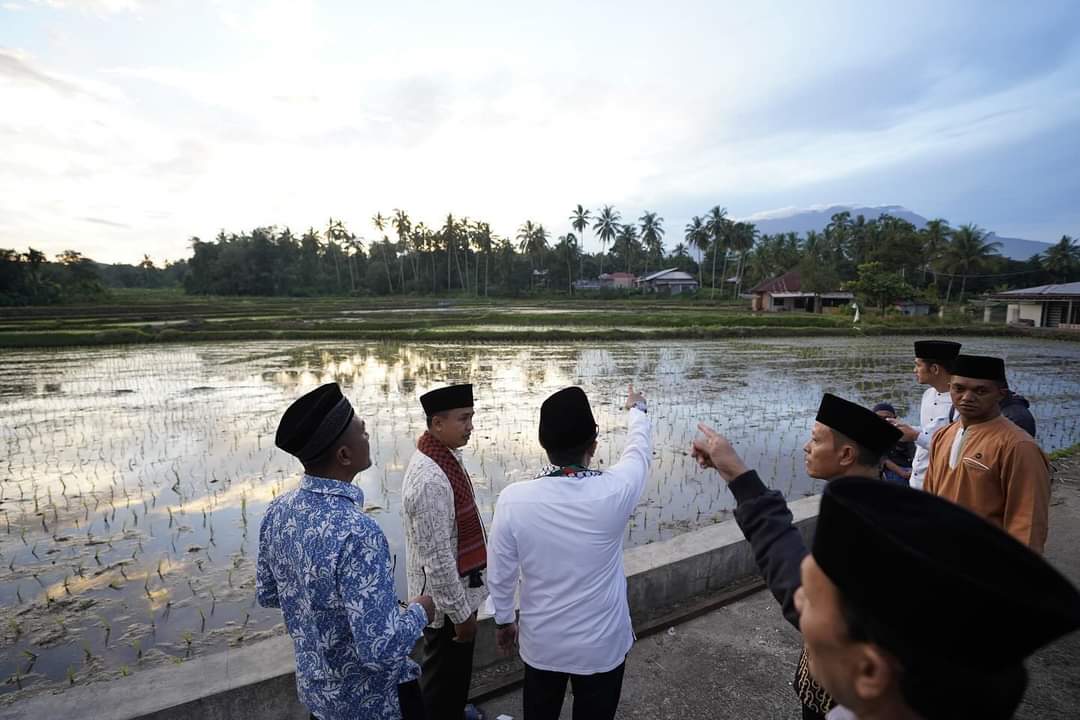 Bupati Eka Putra melihat hamparan sawah luas membentang di lokasi masjid Baiturrahim, Jorong Pabalutan, Nagari Rambatan, Kecamatan Rambatan, jelang acara dimulai. 