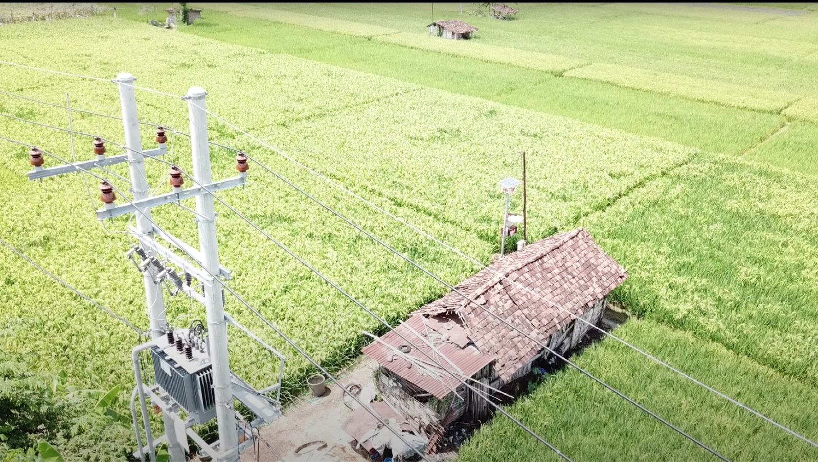 Tampilan Jaringan Tegangan Menengah (JTM) bertegangan 20 kilovolt (kV) yang membentang di areal persawahan Desa Sukorejo, Ponorogo, Jawa Timur.