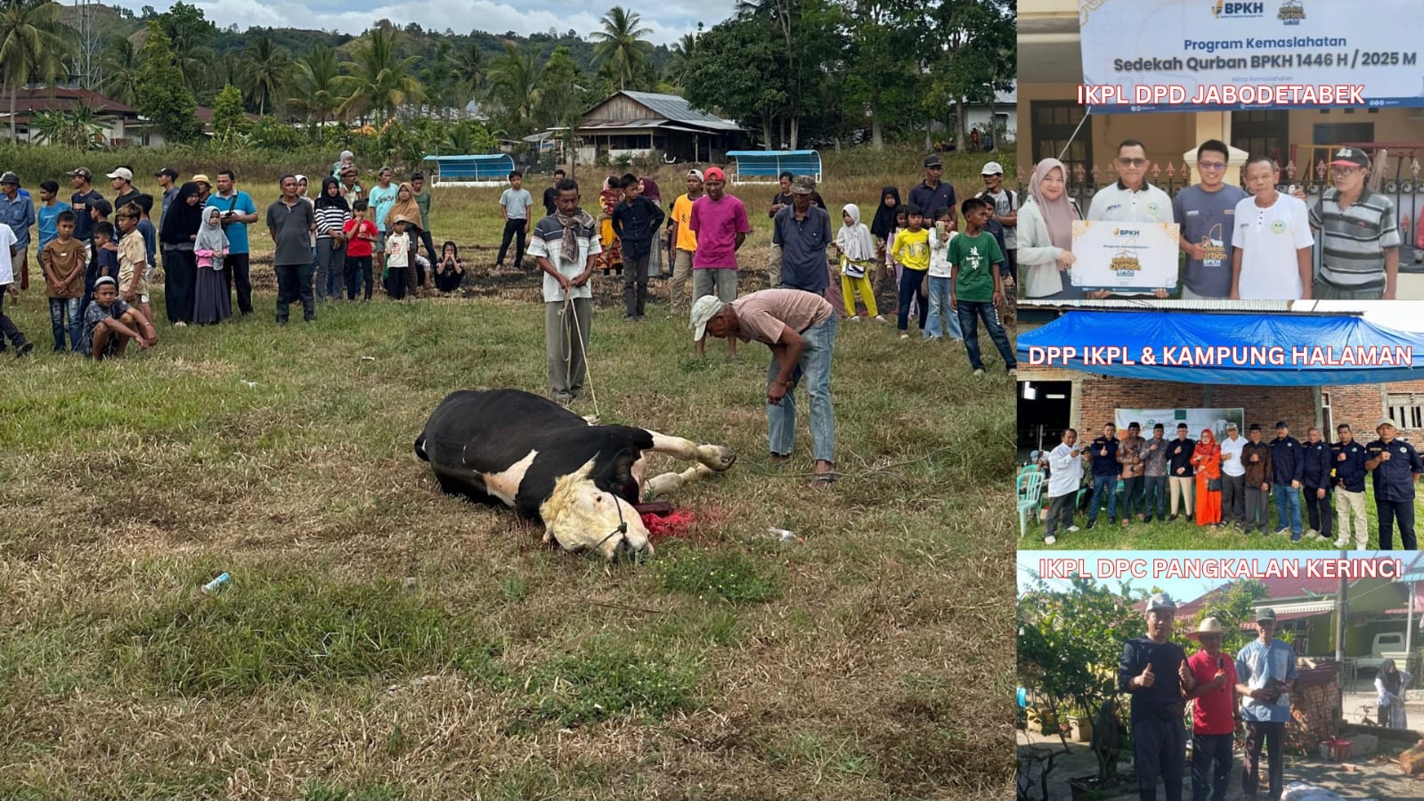 Suasana qurban di Lapangan Nagari III Koto, Kecamatan Rambatan, Tanahdatar. (chandra antoni)