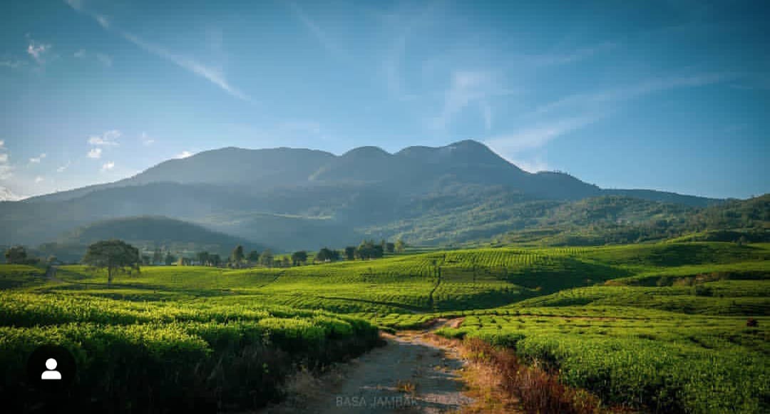 Gunung Talang( Foto: Rivo Septiano)