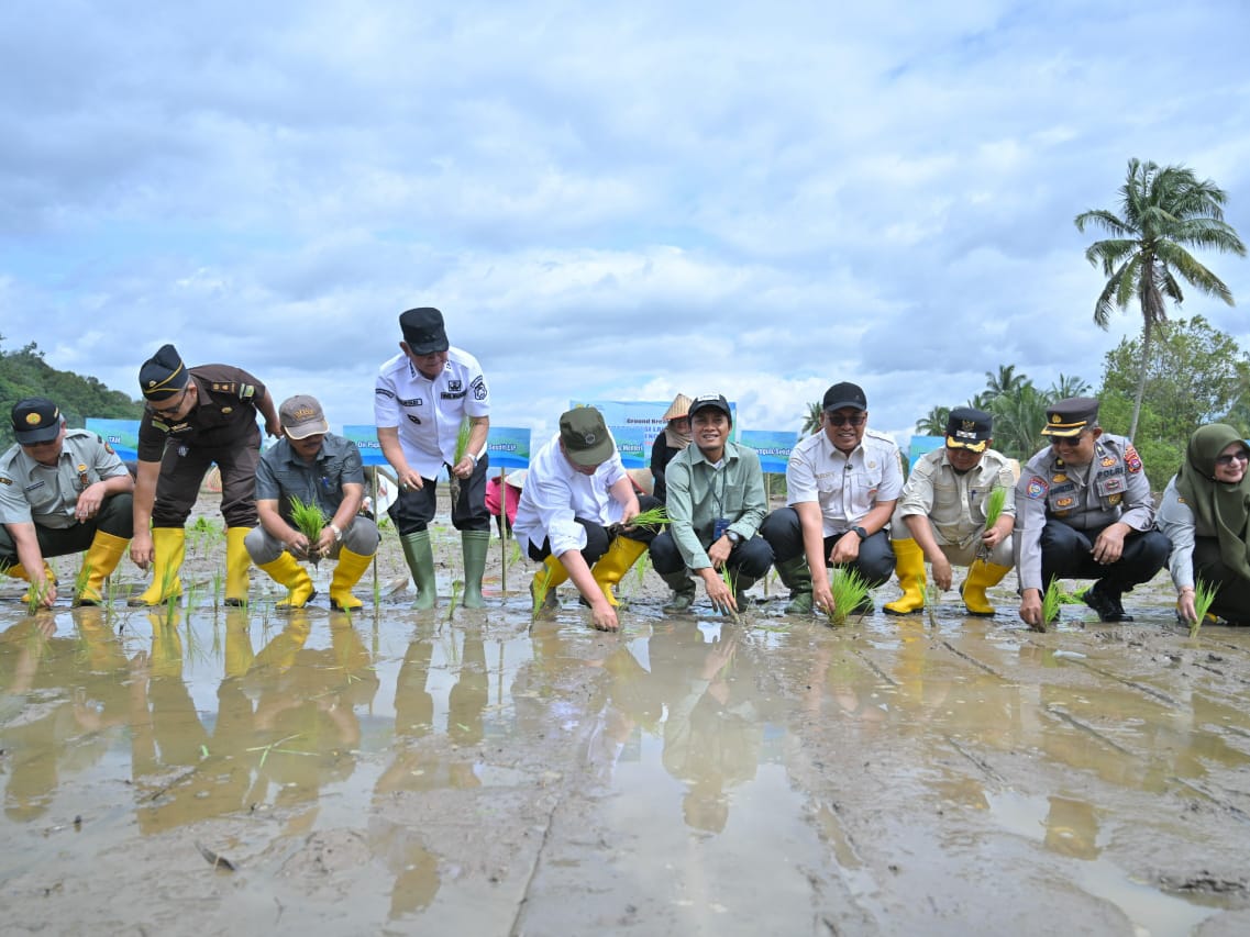 Pemprov Sumbar memastikan proses rehabilitasi lahan sawah segera dilakukan.