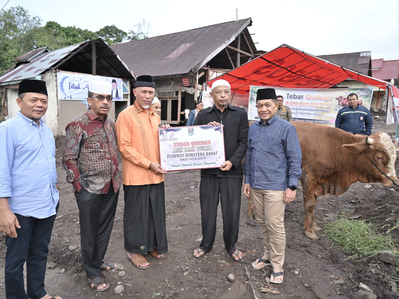 Gubernur Sumbar Mahyeldi menyalurkan sapi hewan qurban untuk warga di wilayah terdampak bencana. Foto Adpsb. 