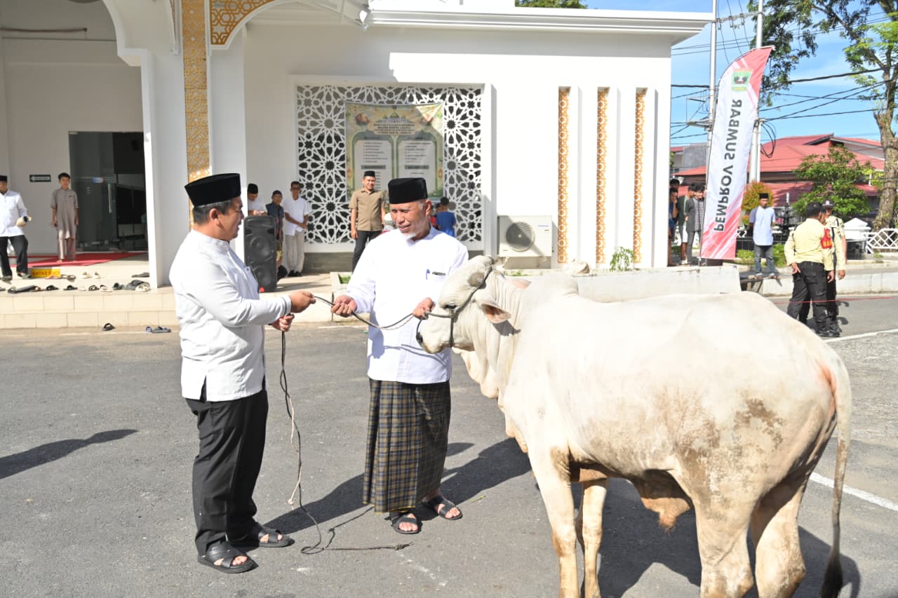 Gubernur Sumbar Mahyeldi menyerahkan sapi kurban kepada pengurus masjid Baitul Auliya komplek Kantor Gubernur, Asisten Pemerintahan dan Kesejahteraan Rakyat Setdaprov Sumbar, Ahmad Zakri. Foto Adpsb. 