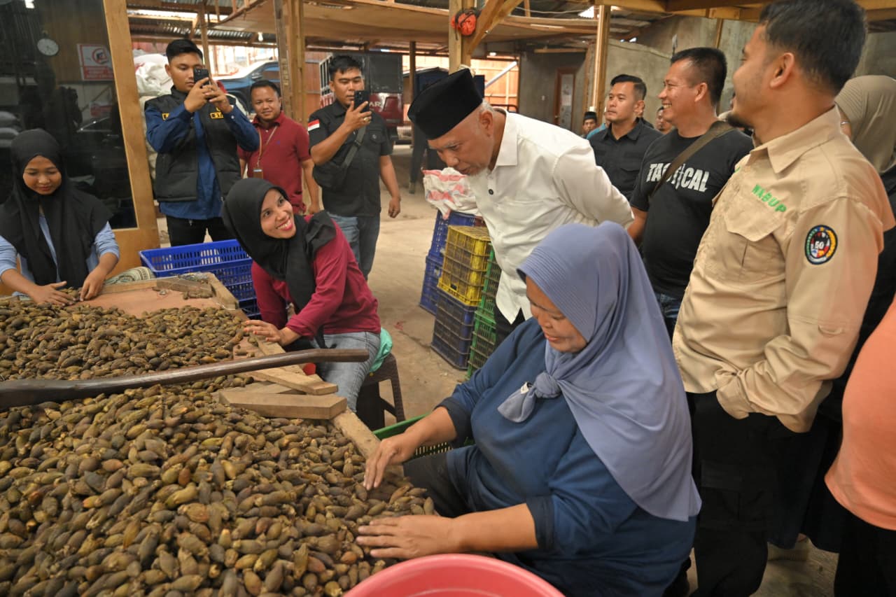 Gubernur Sumatera Barat, Mahyeldi meninjau langsung aktivitas pengolahan pinang di PT Maju Kolpin Sejahtera yang berlokasi di Jorong Akabiluru, Nagari Koto Tangah Batu Hampa, Limapuluh Kota. Foto Adpsb. 