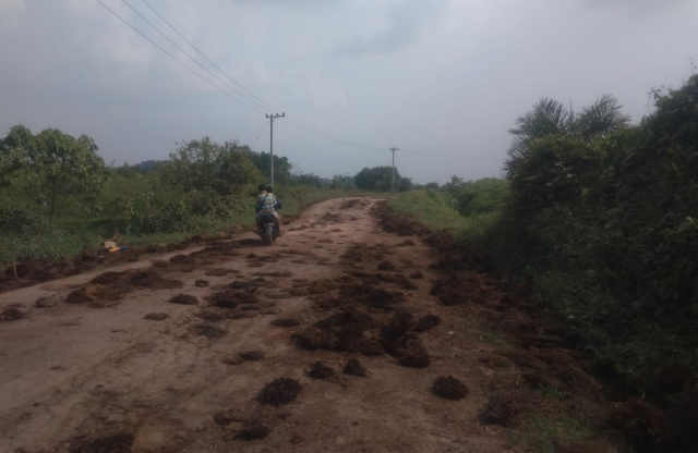 Tandan Kosong (Tankos) limbah PT SAK, berserakan di jalan umum, terekam lensa Minangsatu.