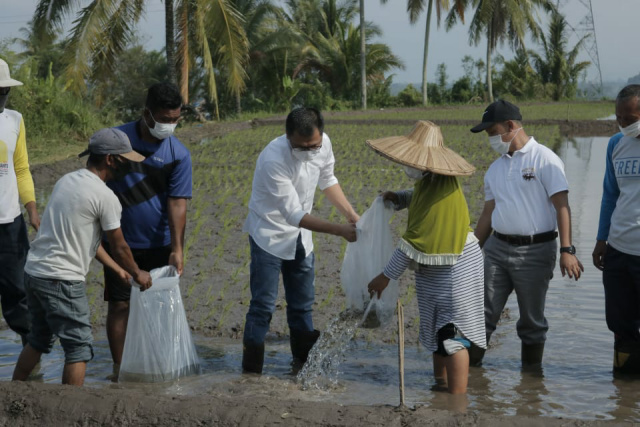 Wabup Limapuluh Kota melepas bibit ikan saat melauncing program Mina Padi, di Sungai Kamuyang Kecamatan Luak, Kabupaten Limapuluh Kota.