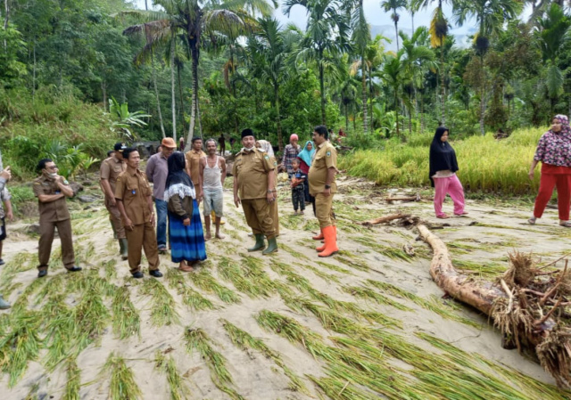 Bupati Pasaman, Benny Utama saat tinjau lokasi banjir bandang di Mapun