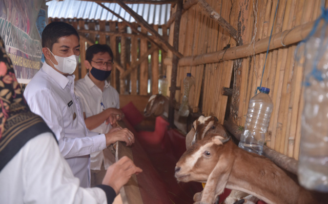 Walikota Deri Asta Didampingi Lurah Saringan Kunjungi Kelompok Peternak Harapan Bersama