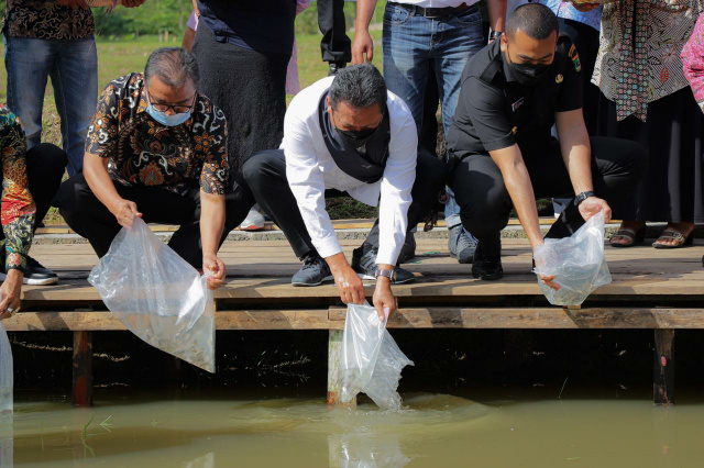 Menteri Kelautan dan Perikanan, Sakti Wahyu Trenggono mengunjungi kampung gurami BIMA-Pokdakan Anak Kociak