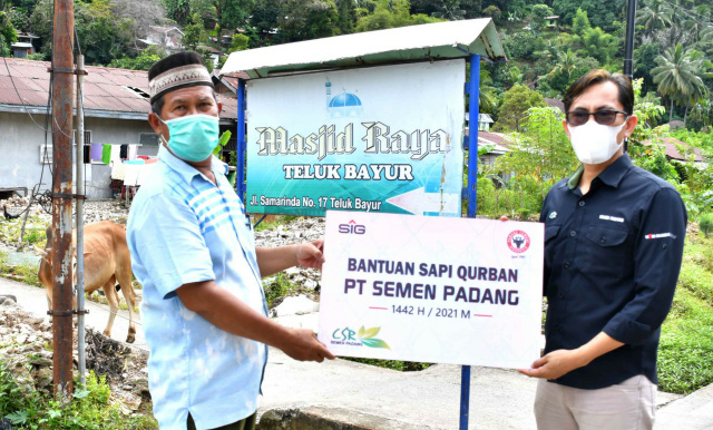 Penyerahan hewan kurban oleh Staf CSR Semen Padang kepada pengurus  Masjid Raya Teluk Bayur Padang