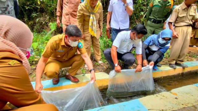 Walikota Deri Asta Dan GM PTBA UPO Yulfaizon Lepaskan Ribuan Benih Ikan Nila Di Saluran Irigasi di Desa Rantih Kecamatan Talawi