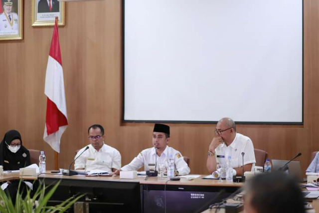 Wakil Wali Kota Solok Ramadhani Kirana Putra ketika membuka acara Stunting.