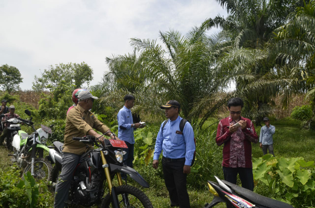 Pemkab Agam saat meninjau lahan perkebunan PT Inangsari