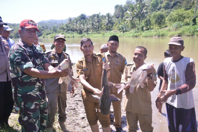 Panen ikan di lubuk larangan sekaligus makan bersama yang dihadiri Wali Kota Deri Asta, Senin 30 Mei 2022.