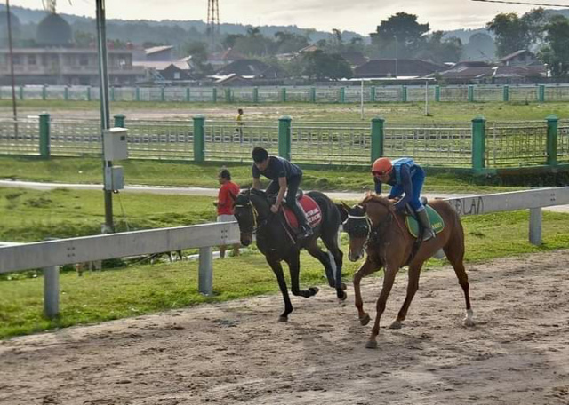 Dua ekor kuda ditunggangj sang joki tengah mencoba gelanggang Bancah Laweh sebelum ikut lomba, Minggu (26/6/2022) mendatang.
