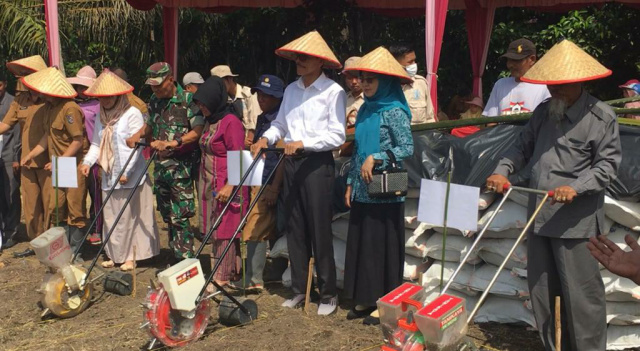 Bupati melakukan penanaman jagung menggunakan alat tanam jagung