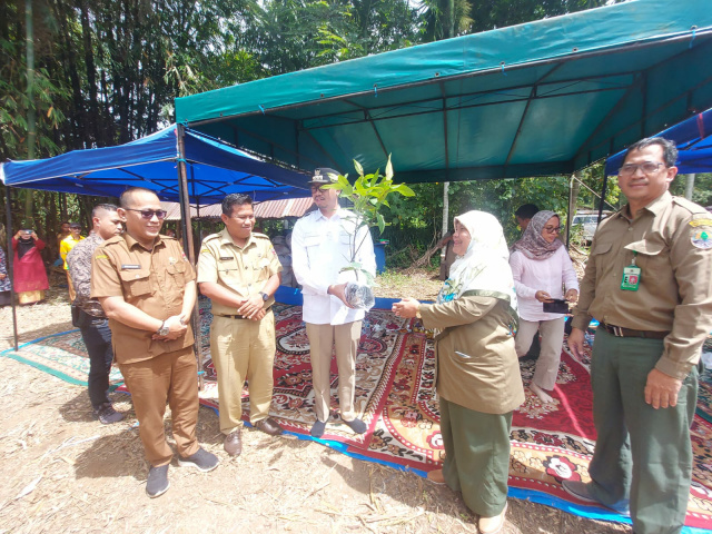 Wako Bukittinggi Erman Safar serahkan bantuan bibit buah2an
