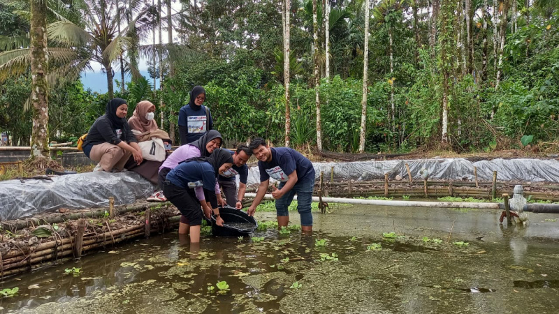Komunitas Millenial Bergerak Pasaman saat tebar bibit lele di Lubuk Sikaping